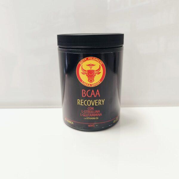 BCAA RECOVERY CON L-CITRULLINA L-GLUTAMMINA CON VITAMINA B6 GUSTO ARANCIA 400G DOTT.FILOMENI